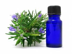 Essential Oil Plant